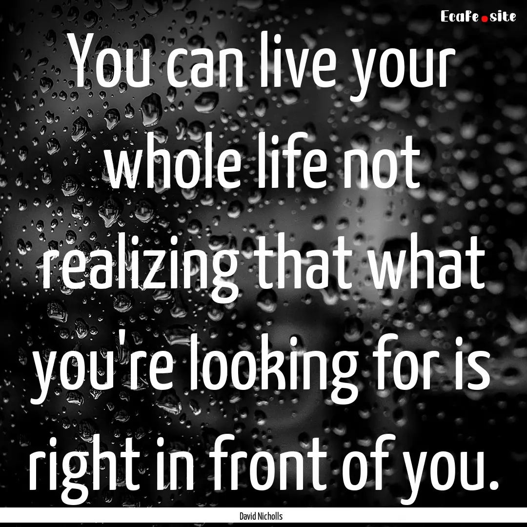 You can live your whole life not realizing.... : Quote by David Nicholls