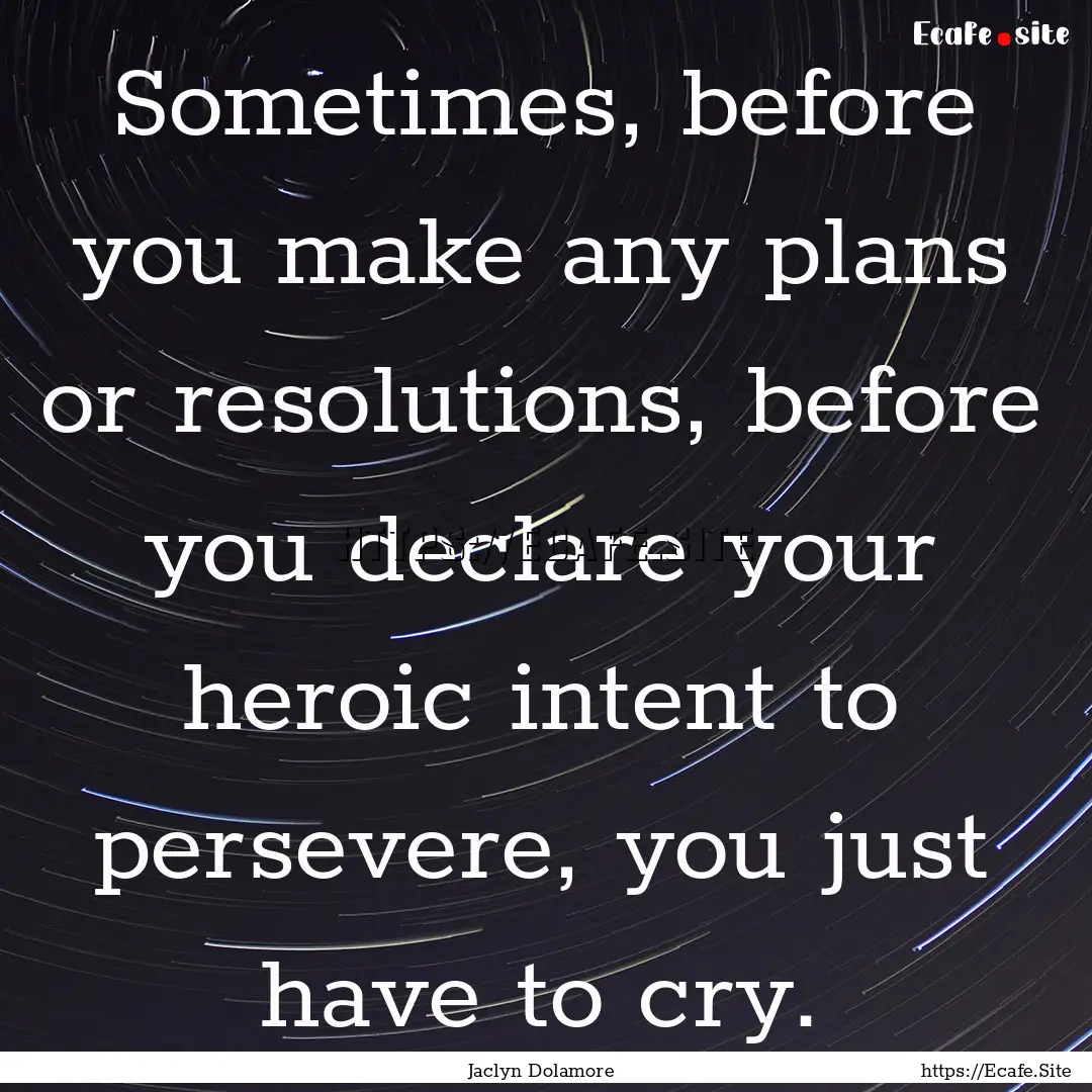 Sometimes, before you make any plans or resolutions,.... : Quote by Jaclyn Dolamore