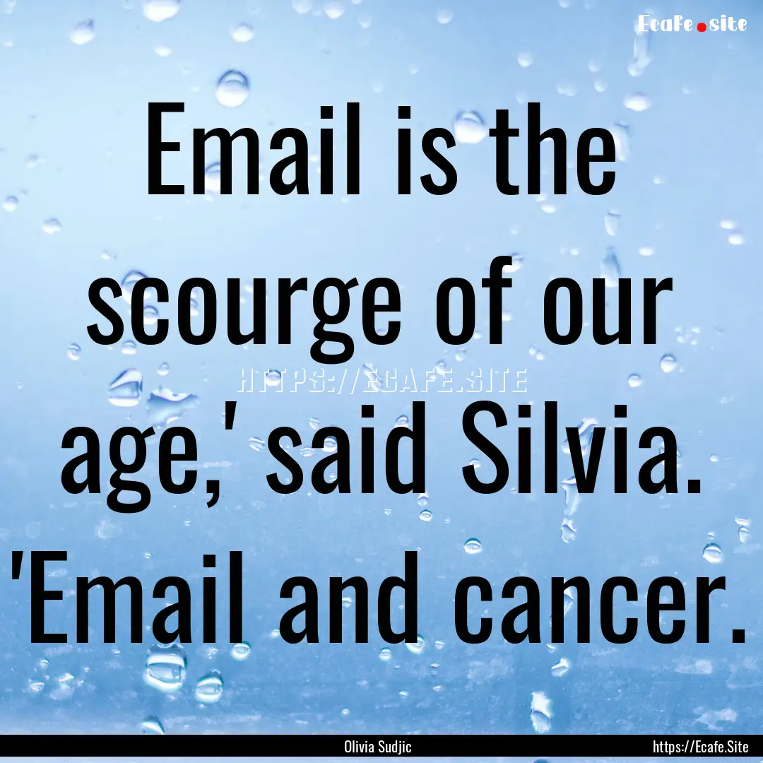 Email is the scourge of our age,' said Silvia..... : Quote by Olivia Sudjic