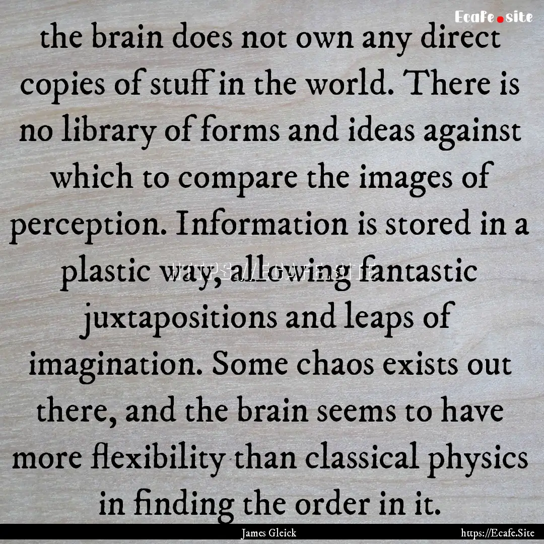 the brain does not own any direct copies.... : Quote by James Gleick