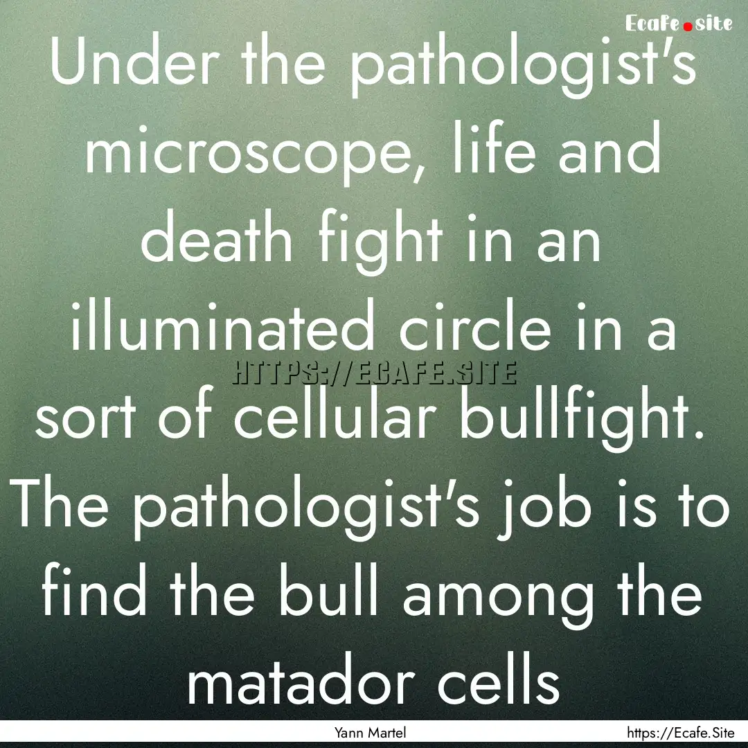 Under the pathologist's microscope, life.... : Quote by Yann Martel