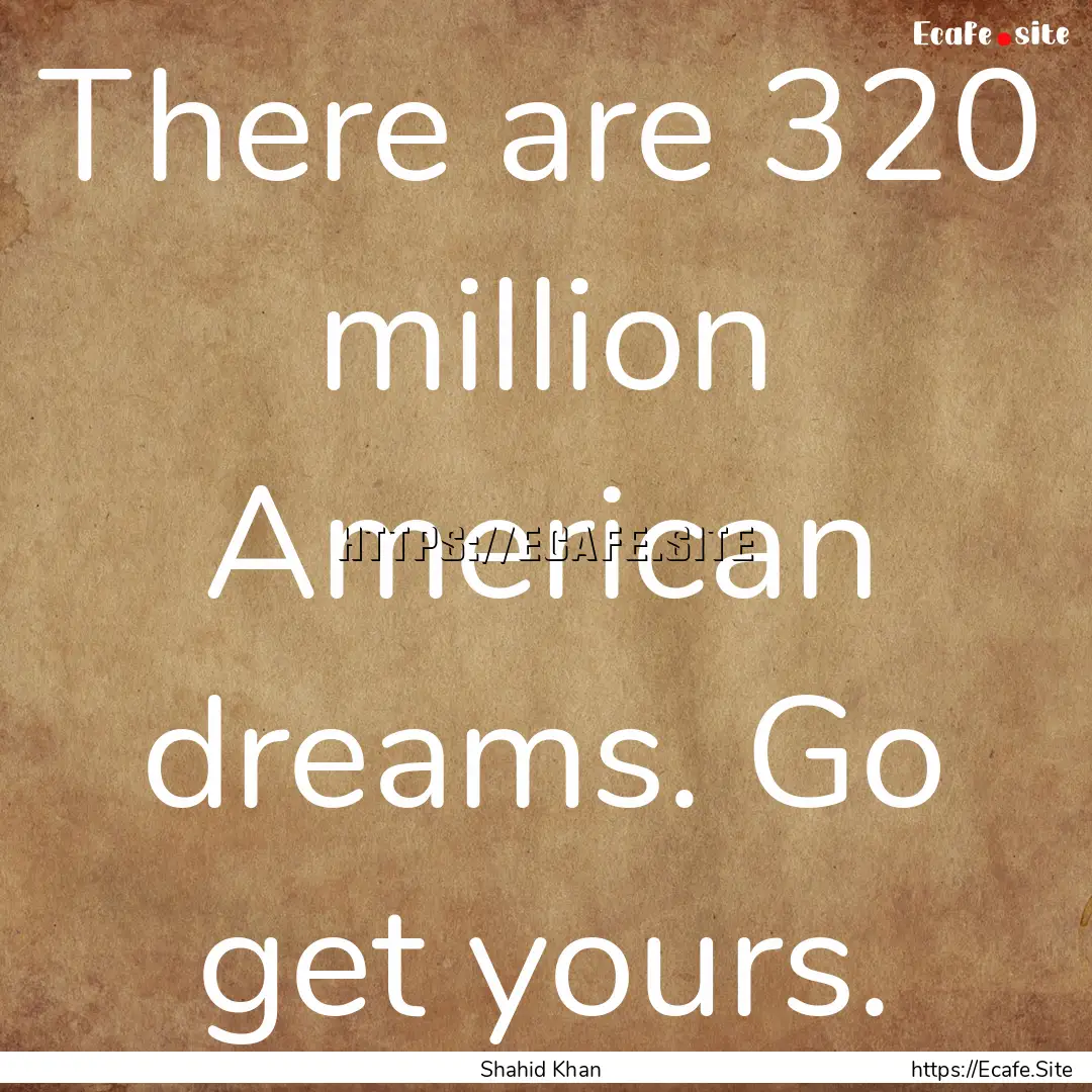 There are 320 million American dreams. Go.... : Quote by Shahid Khan