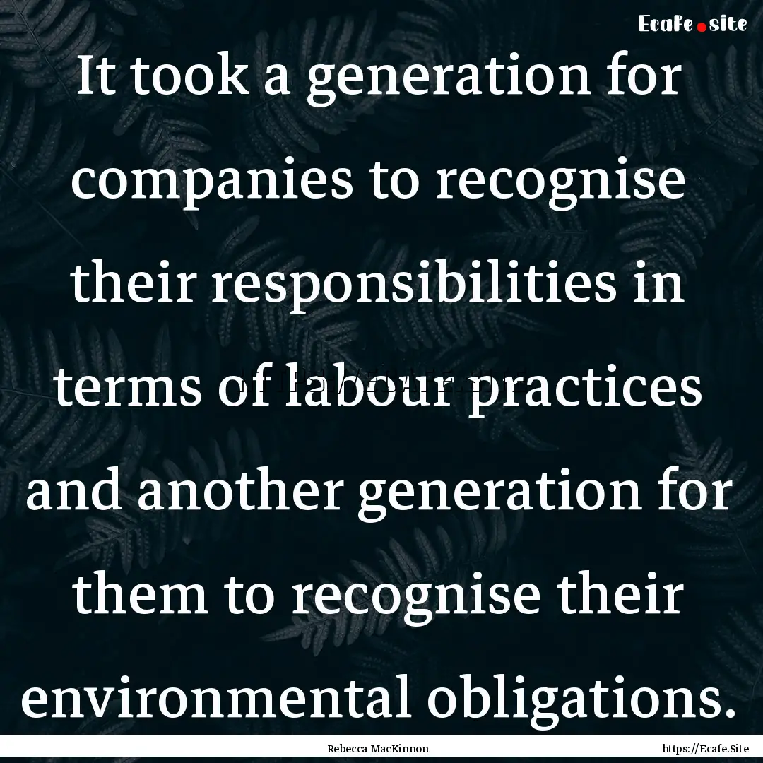 It took a generation for companies to recognise.... : Quote by Rebecca MacKinnon