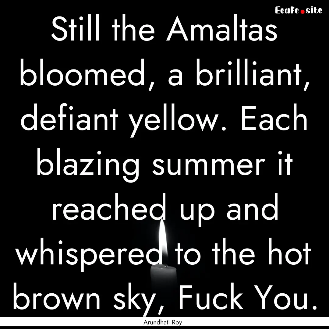 Still the Amaltas bloomed, a brilliant, defiant.... : Quote by Arundhati Roy