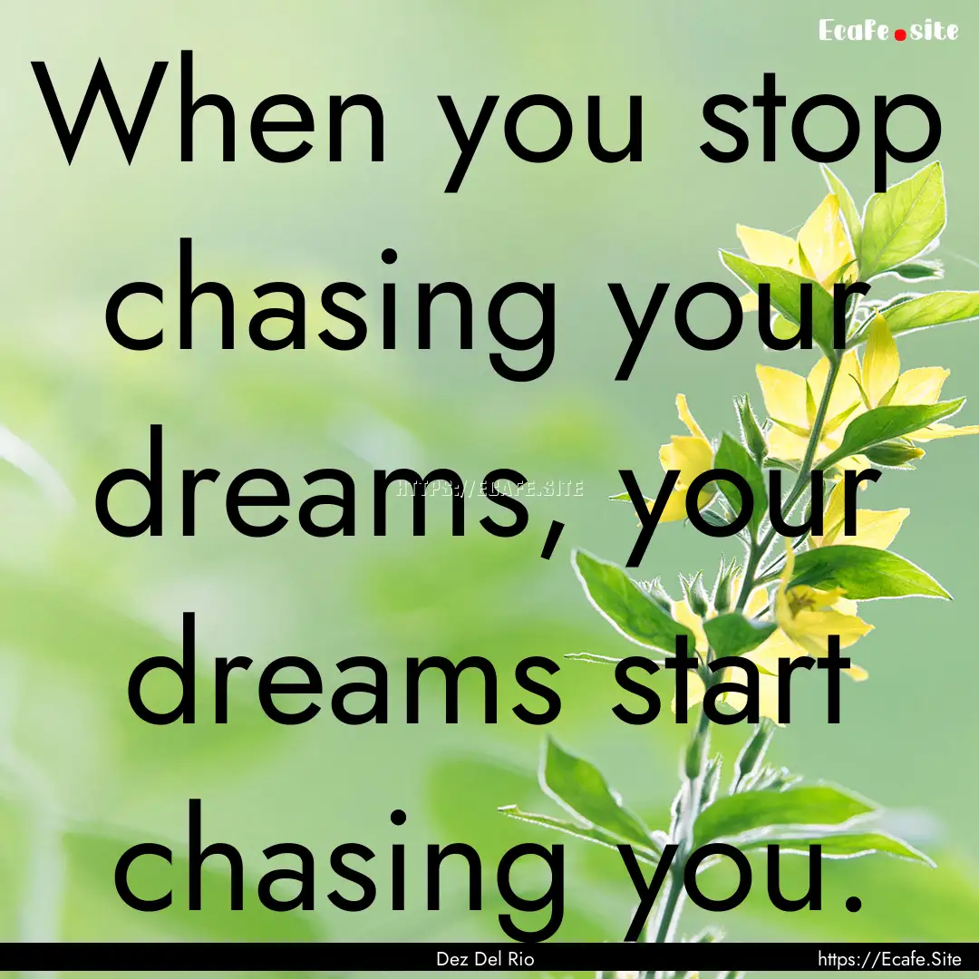 When you stop chasing your dreams, your dreams.... : Quote by Dez Del Rio