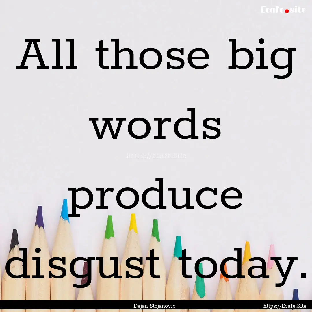 All those big words produce disgust today..... : Quote by Dejan Stojanovic