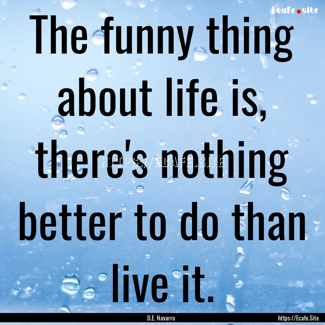 The funny thing about life is, there's nothing.... : Quote by D.E. Navarro