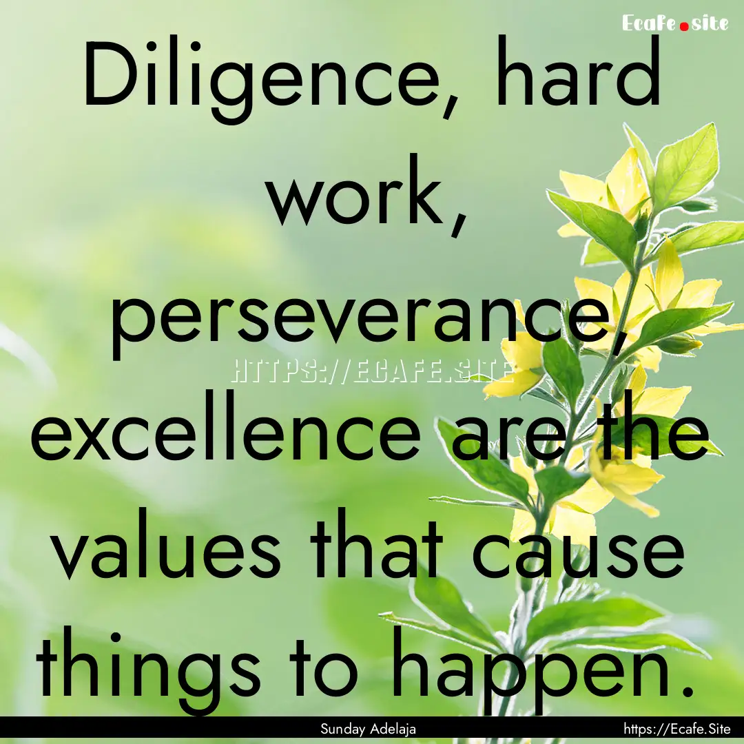 Diligence, hard work, perseverance, excellence.... : Quote by Sunday Adelaja