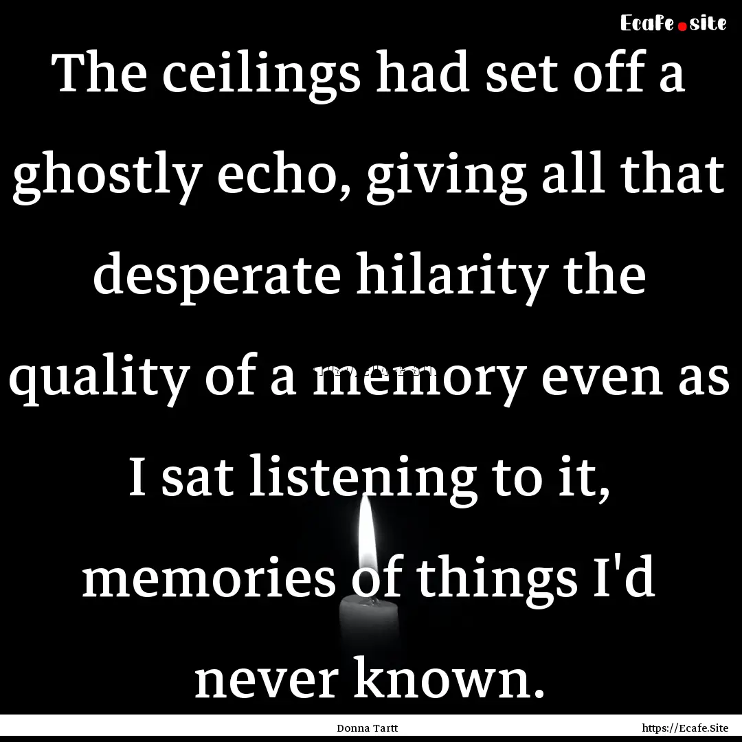 The ceilings had set off a ghostly echo,.... : Quote by Donna Tartt