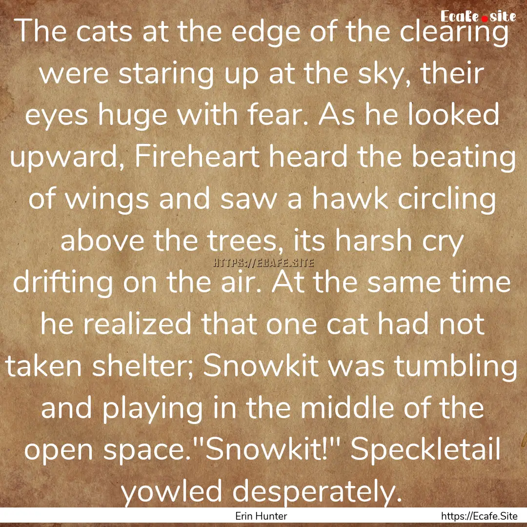 The cats at the edge of the clearing were.... : Quote by Erin Hunter