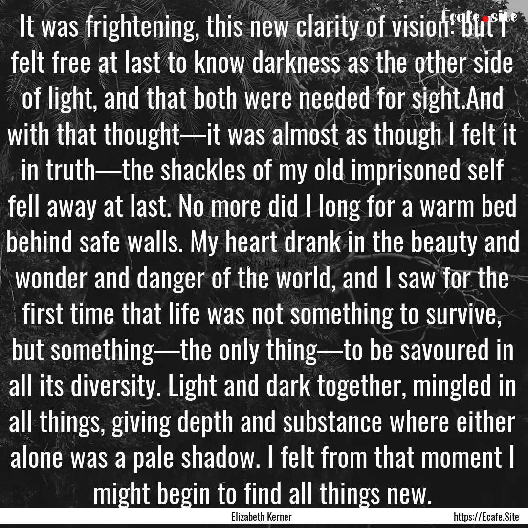 It was frightening, this new clarity of vision:.... : Quote by Elizabeth Kerner