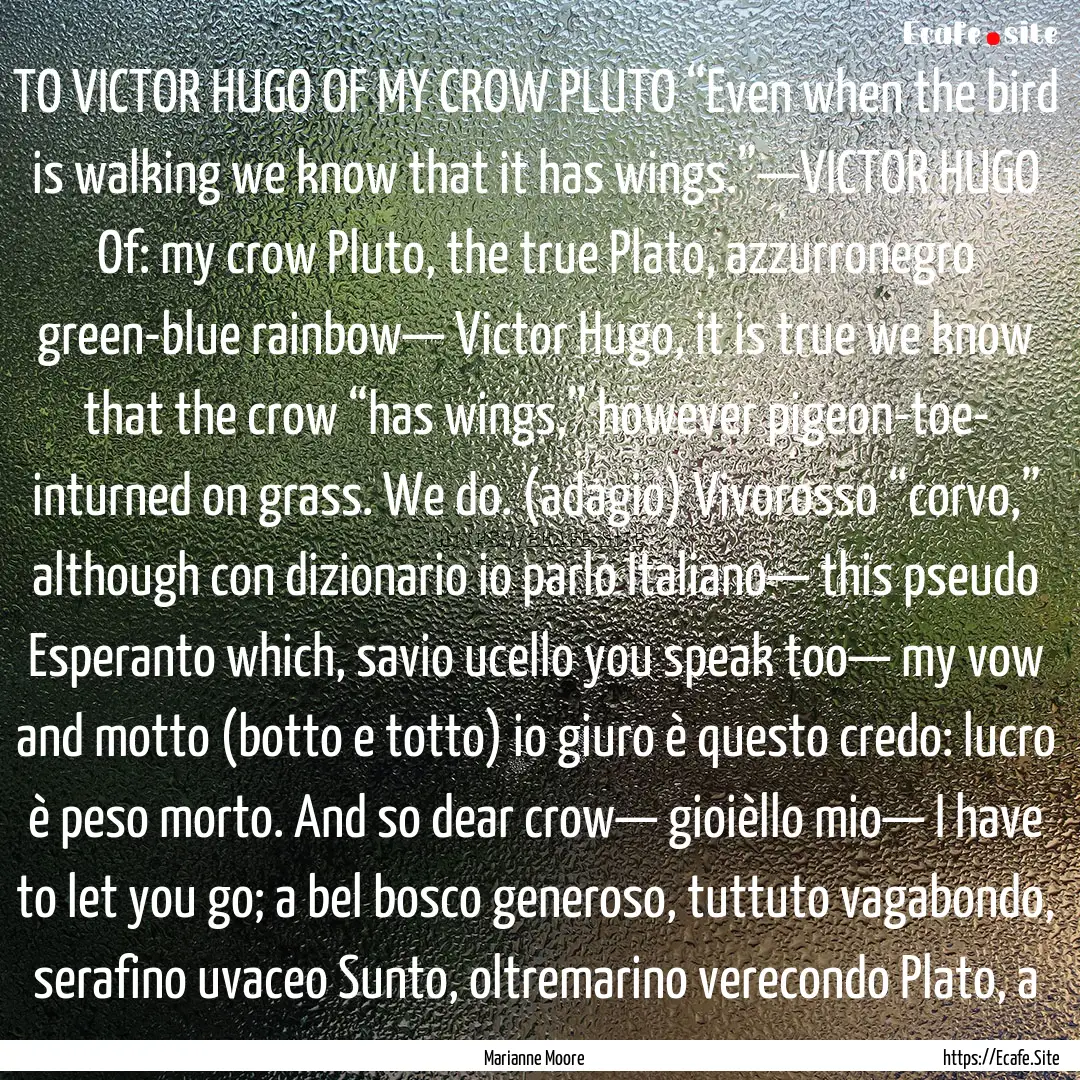 TO VICTOR HUGO OF MY CROW PLUTO “Even when.... : Quote by Marianne Moore