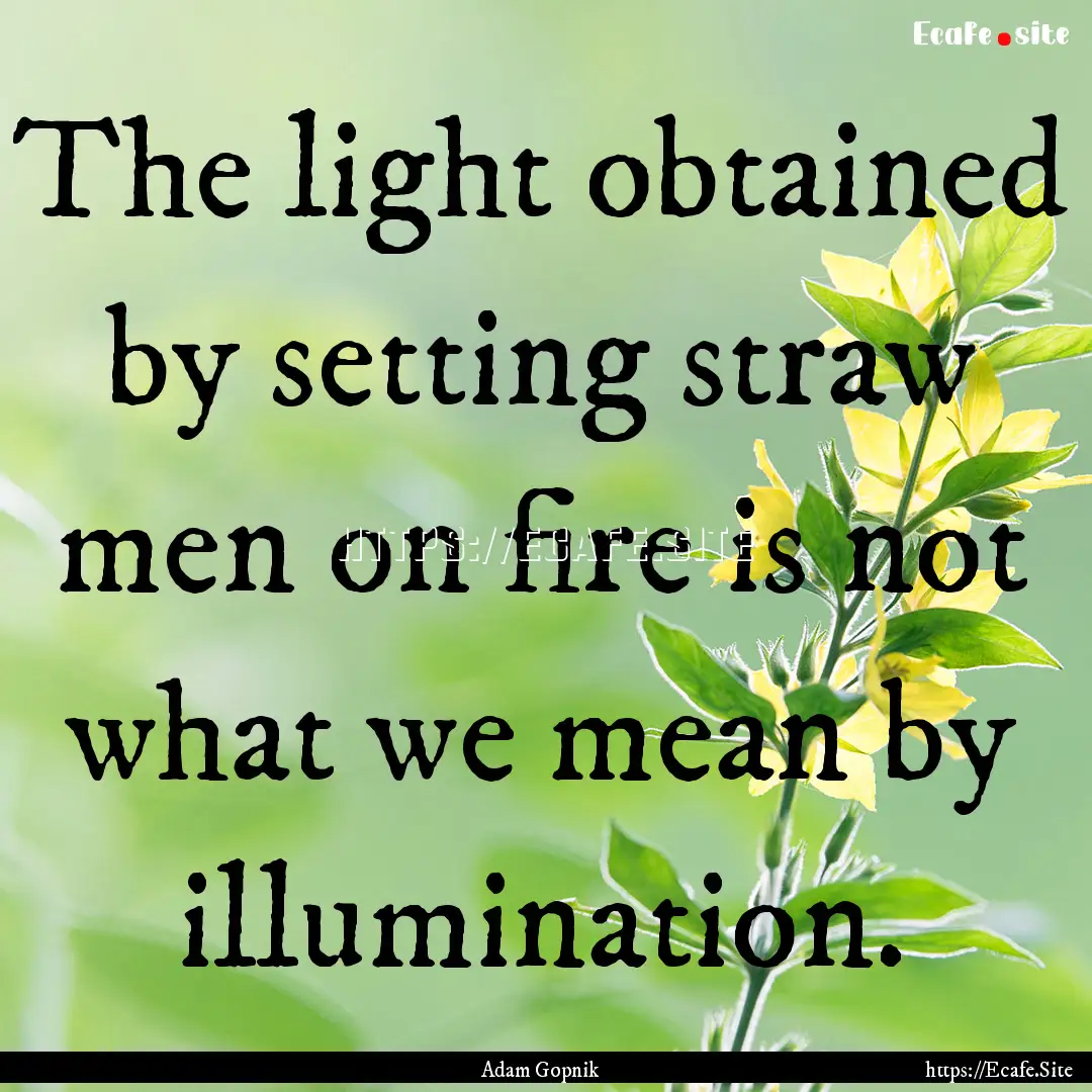 The light obtained by setting straw men on.... : Quote by Adam Gopnik