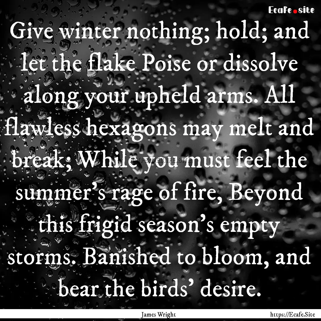 Give winter nothing; hold; and let the flake.... : Quote by James Wright