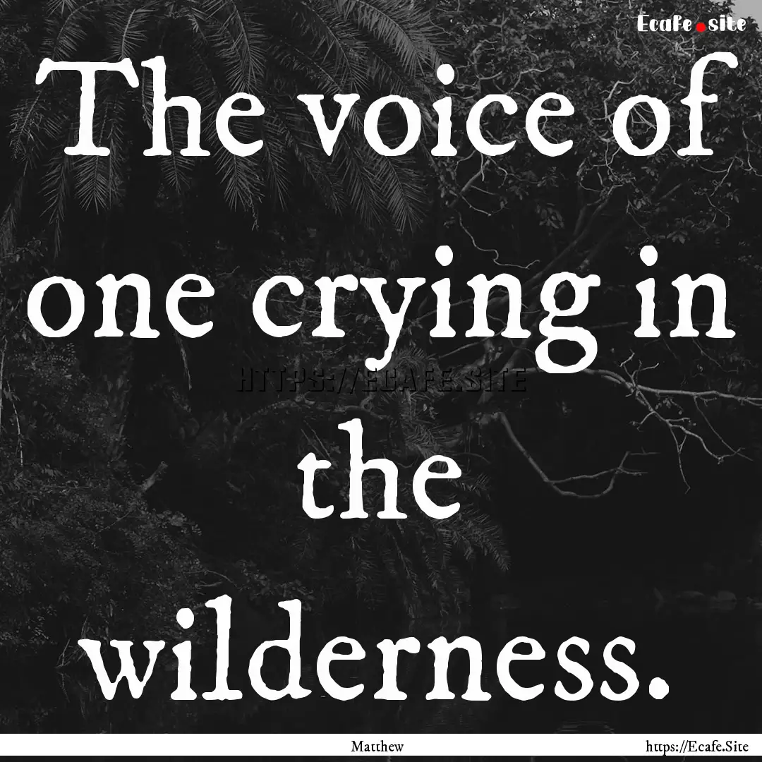 The voice of one crying in the wilderness..... : Quote by Matthew