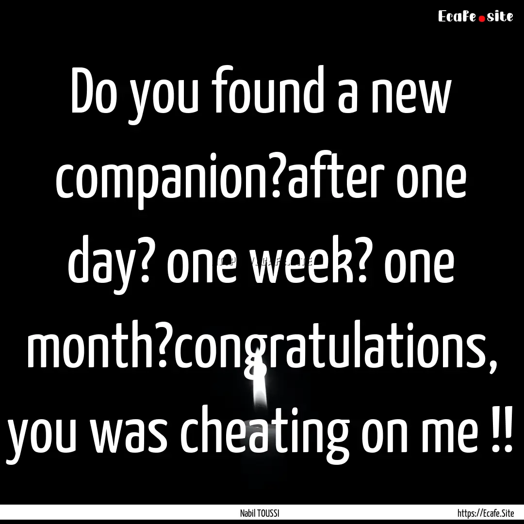 Do you found a new companion?after one day?.... : Quote by Nabil TOUSSI