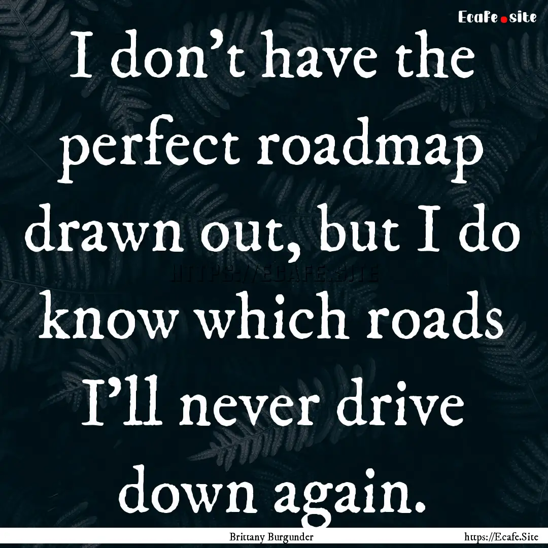 I don't have the perfect roadmap drawn out,.... : Quote by Brittany Burgunder