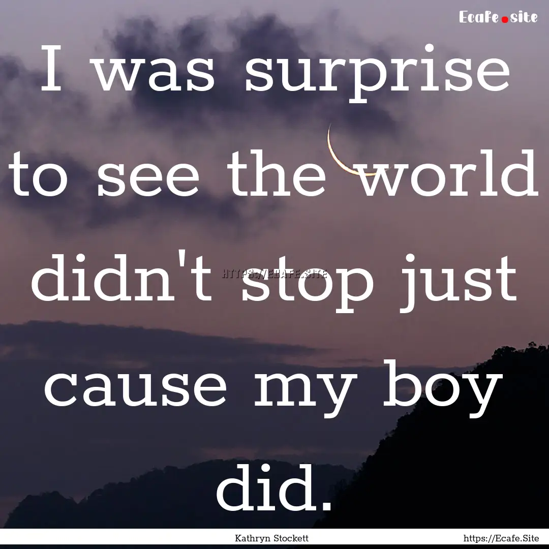 I was surprise to see the world didn't stop.... : Quote by Kathryn Stockett