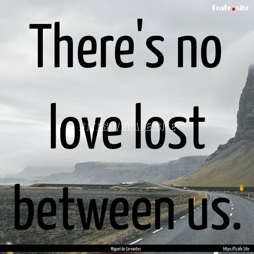 There's no love lost between us. : Quote by Miguel de Cervantes