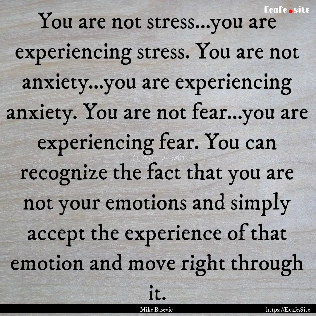 You are not stress...you are experiencing.... : Quote by Mike Basevic