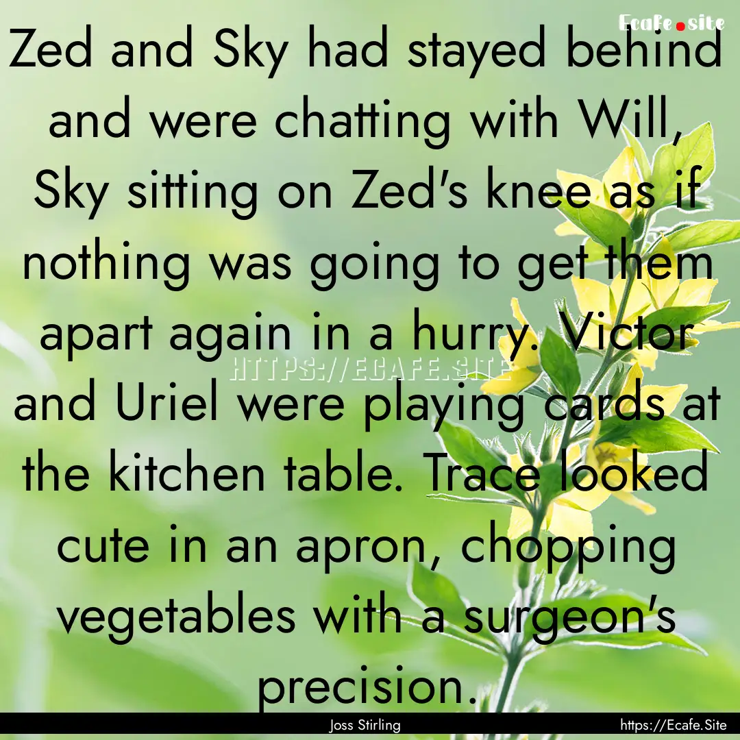 Zed and Sky had stayed behind and were chatting.... : Quote by Joss Stirling