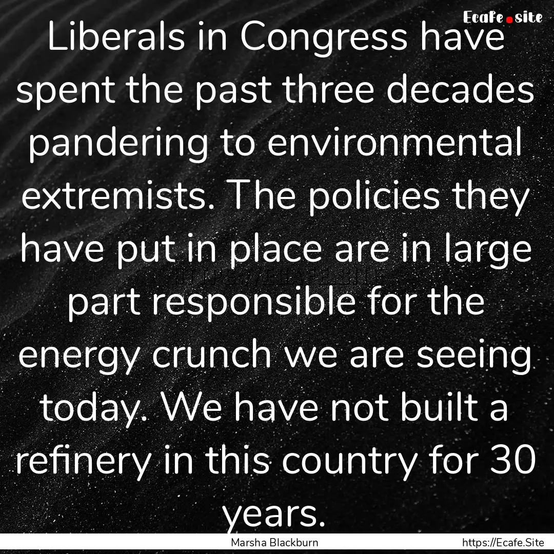 Liberals in Congress have spent the past.... : Quote by Marsha Blackburn