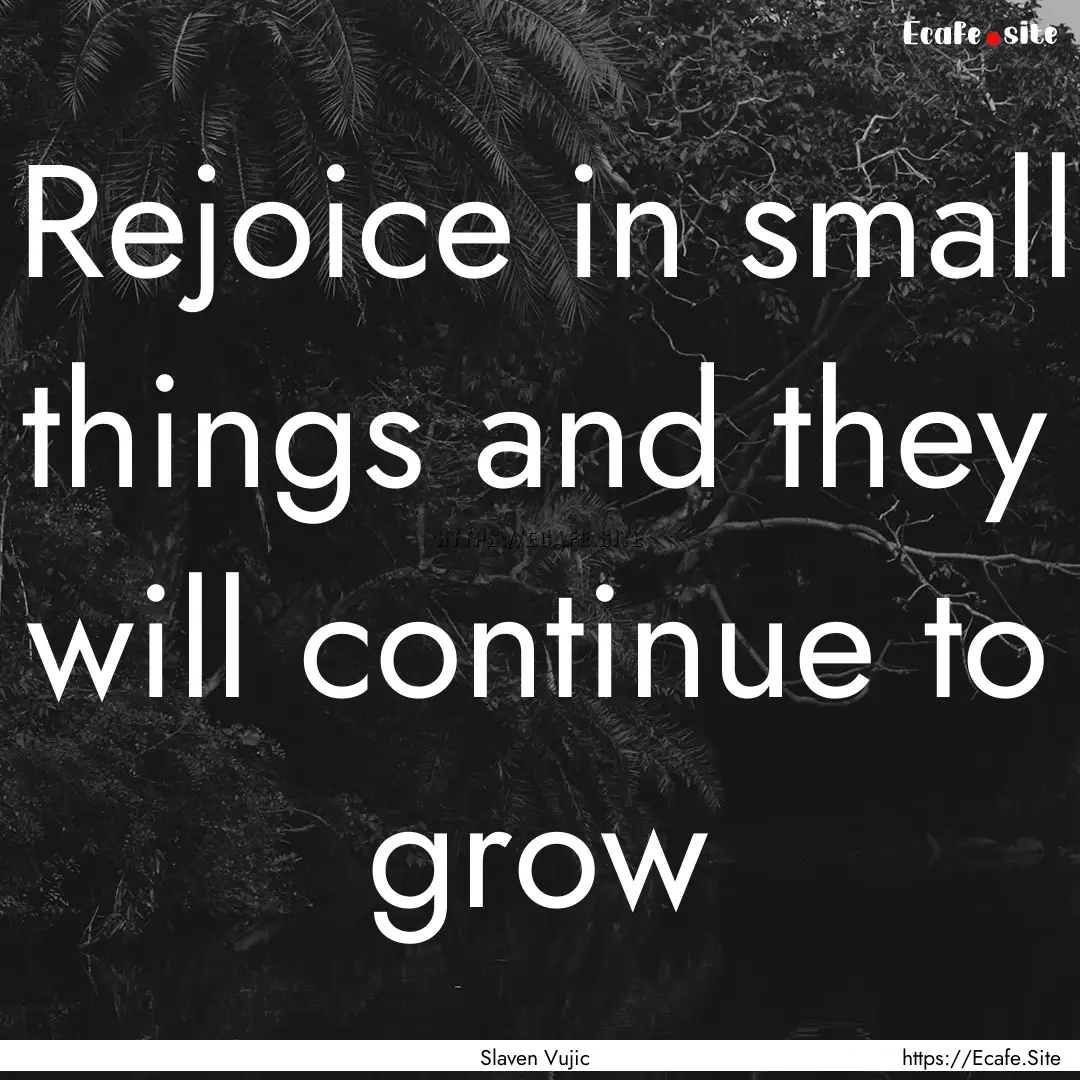 Rejoice in small things and they will continue.... : Quote by Slaven Vujic