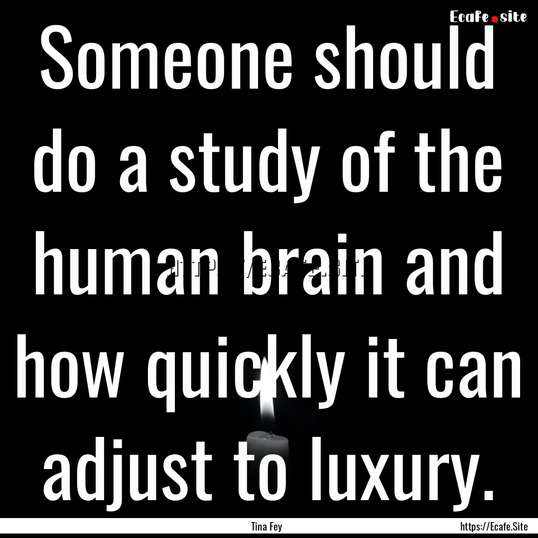 Someone should do a study of the human brain.... : Quote by Tina Fey