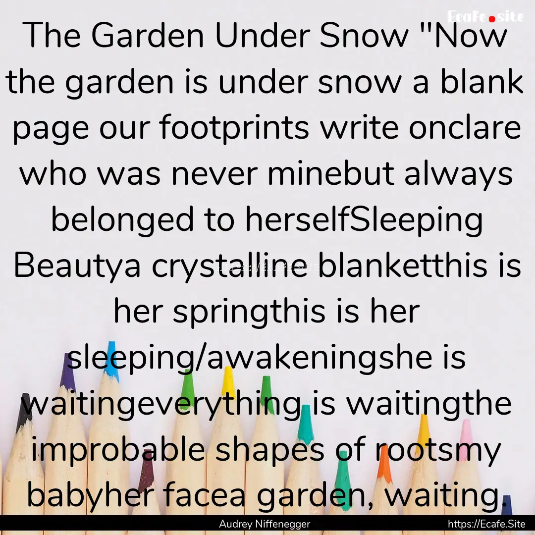 The Garden Under Snow 