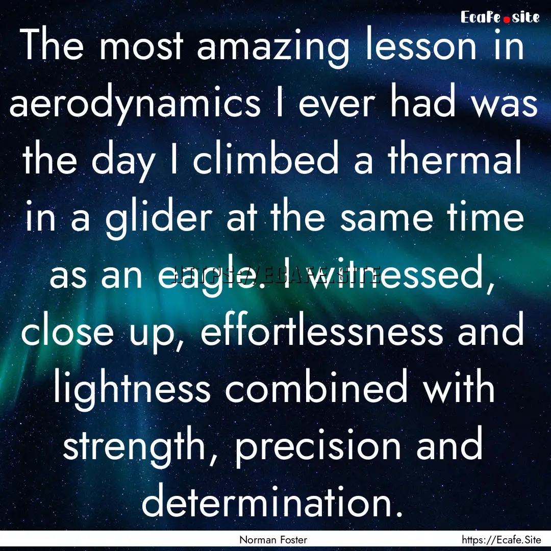 The most amazing lesson in aerodynamics I.... : Quote by Norman Foster