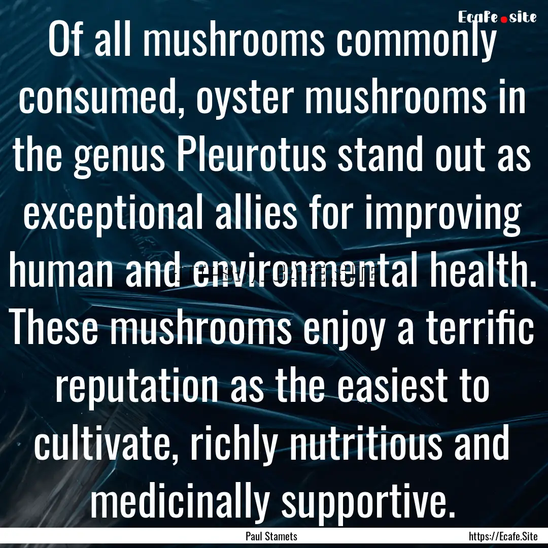 Of all mushrooms commonly consumed, oyster.... : Quote by Paul Stamets