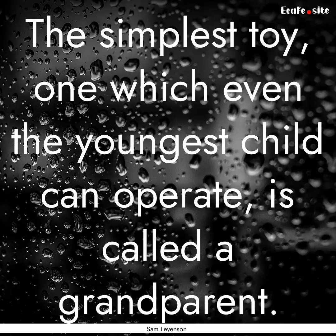 The simplest toy, one which even the youngest.... : Quote by Sam Levenson