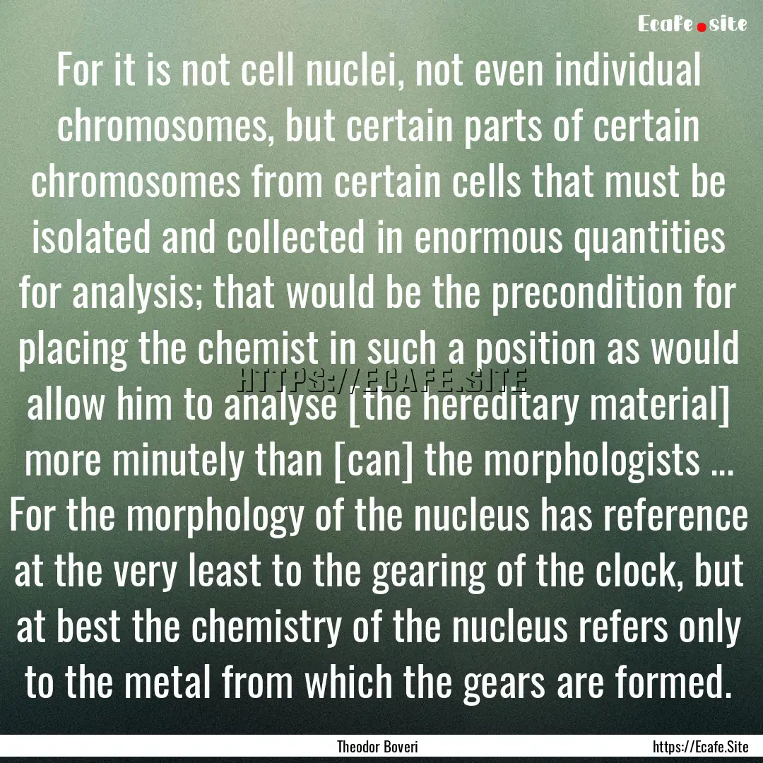 For it is not cell nuclei, not even individual.... : Quote by Theodor Boveri