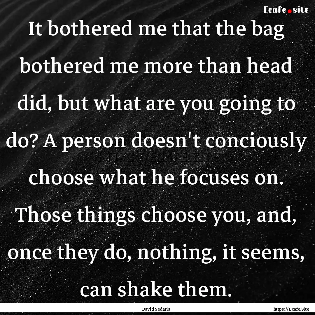 It bothered me that the bag bothered me more.... : Quote by David Sedaris