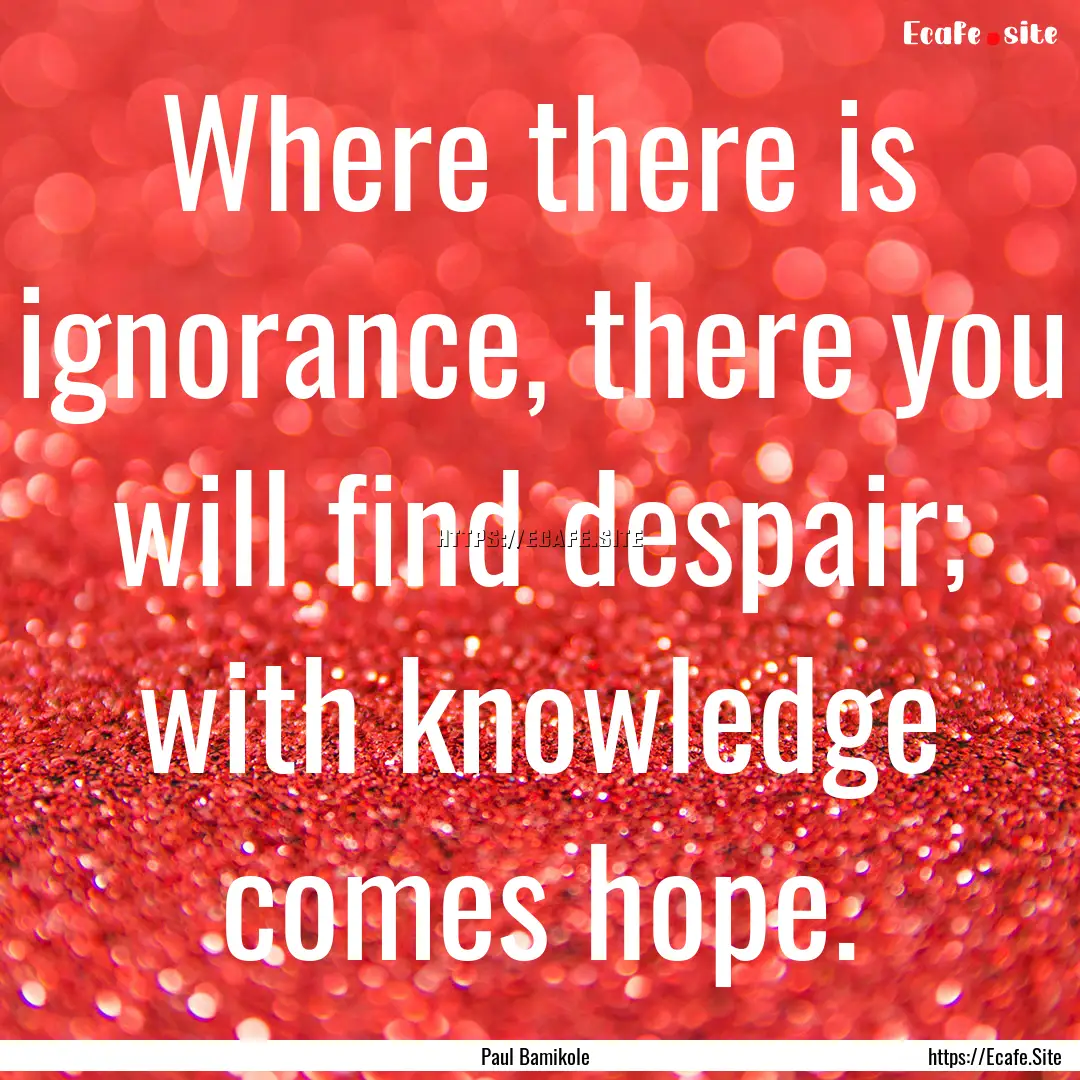 Where there is ignorance, there you will.... : Quote by Paul Bamikole