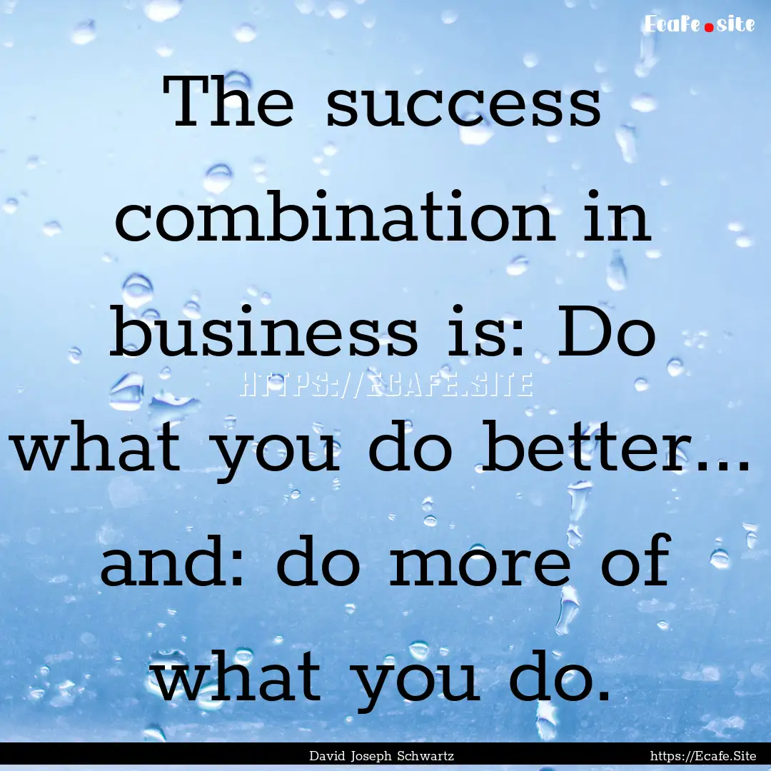 The success combination in business is: Do.... : Quote by David Joseph Schwartz