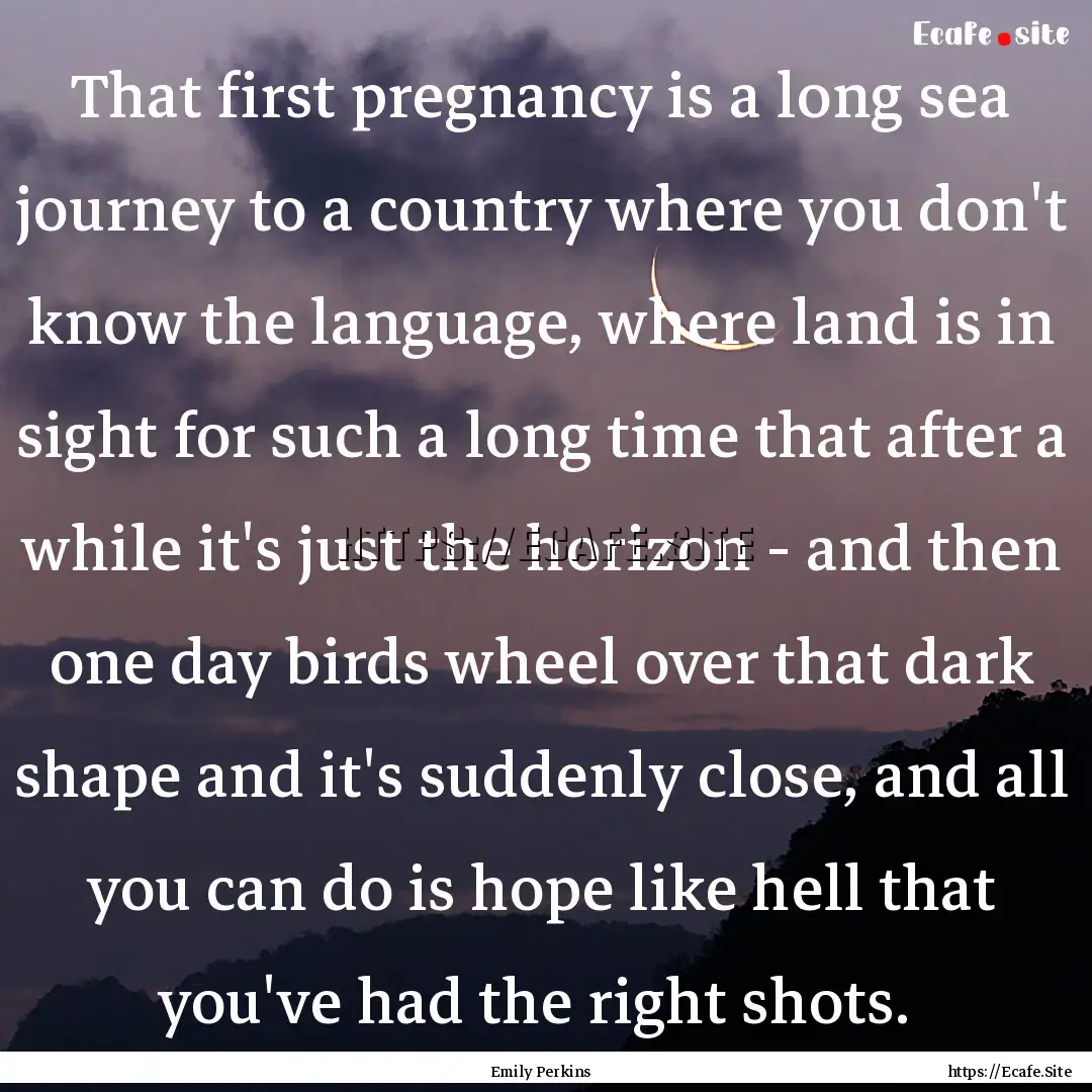 That first pregnancy is a long sea journey.... : Quote by Emily Perkins