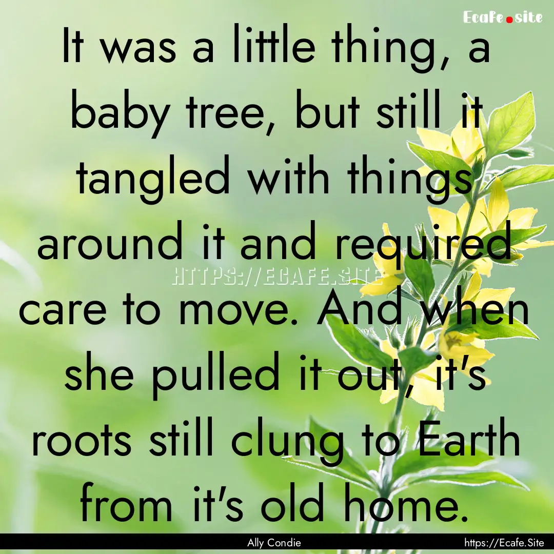 It was a little thing, a baby tree, but still.... : Quote by Ally Condie