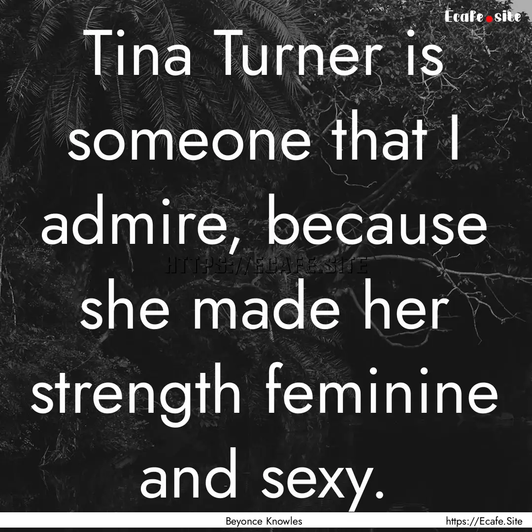 Tina Turner is someone that I admire, because.... : Quote by Beyonce Knowles