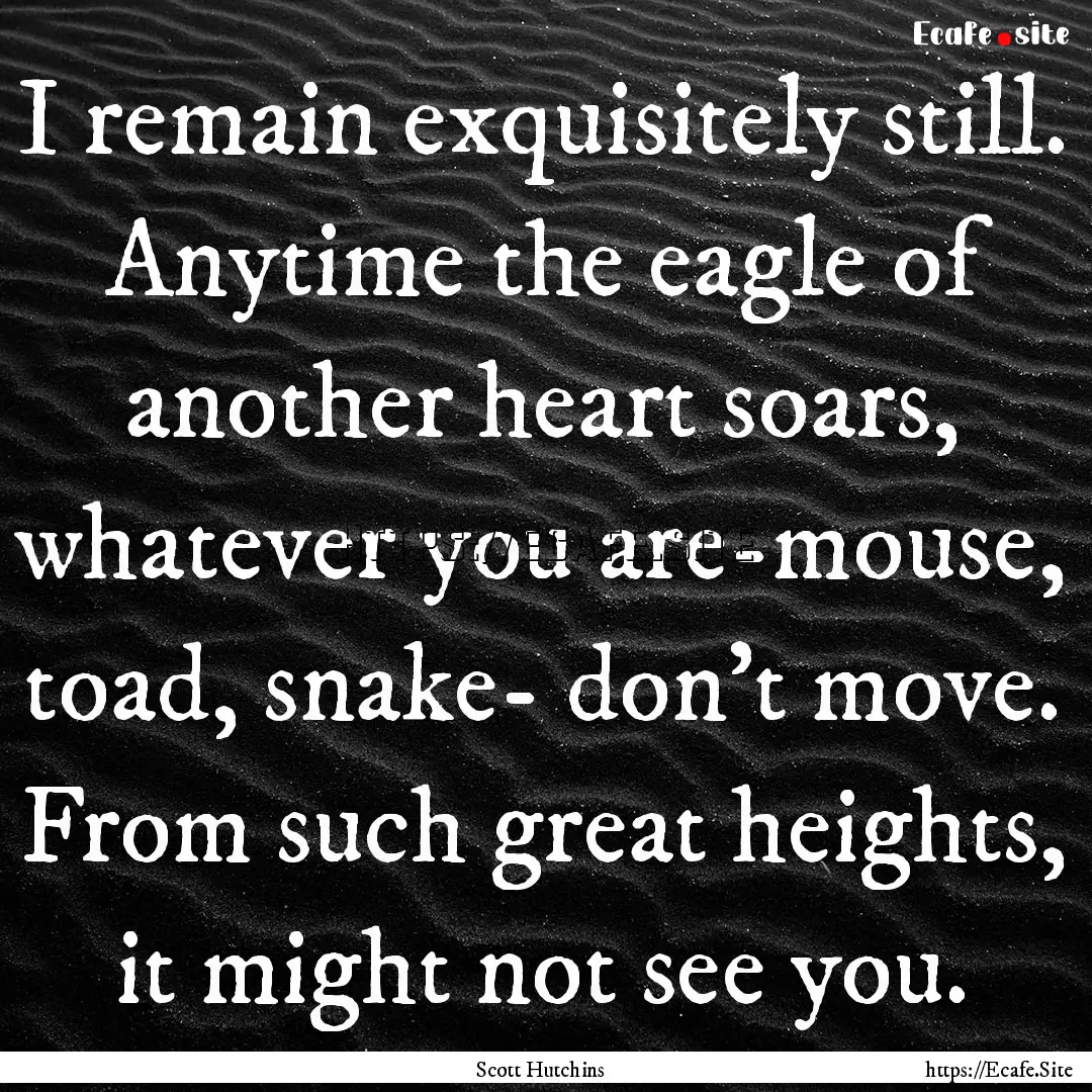 I remain exquisitely still. Anytime the eagle.... : Quote by Scott Hutchins