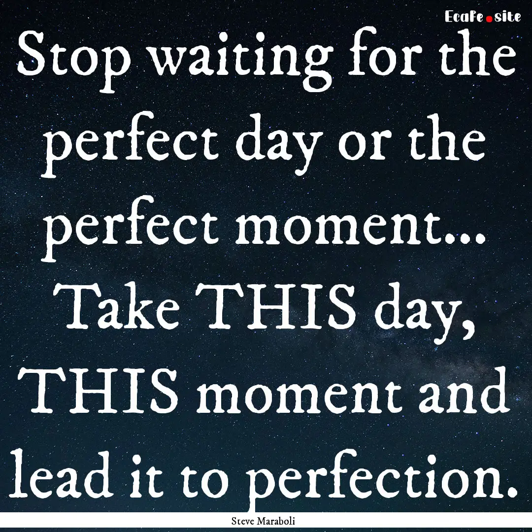 Stop waiting for the perfect day or the perfect.... : Quote by Steve Maraboli