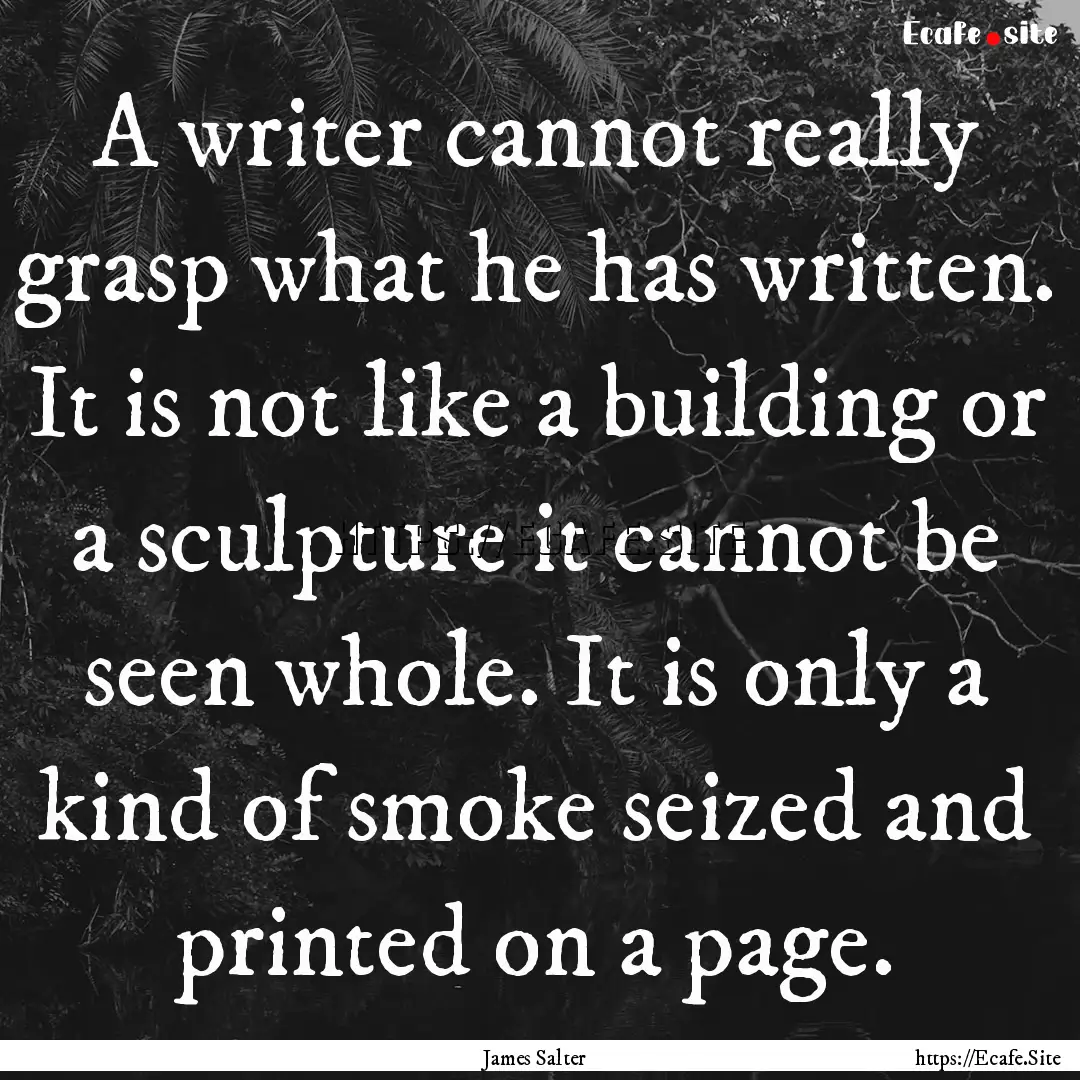 A writer cannot really grasp what he has.... : Quote by James Salter