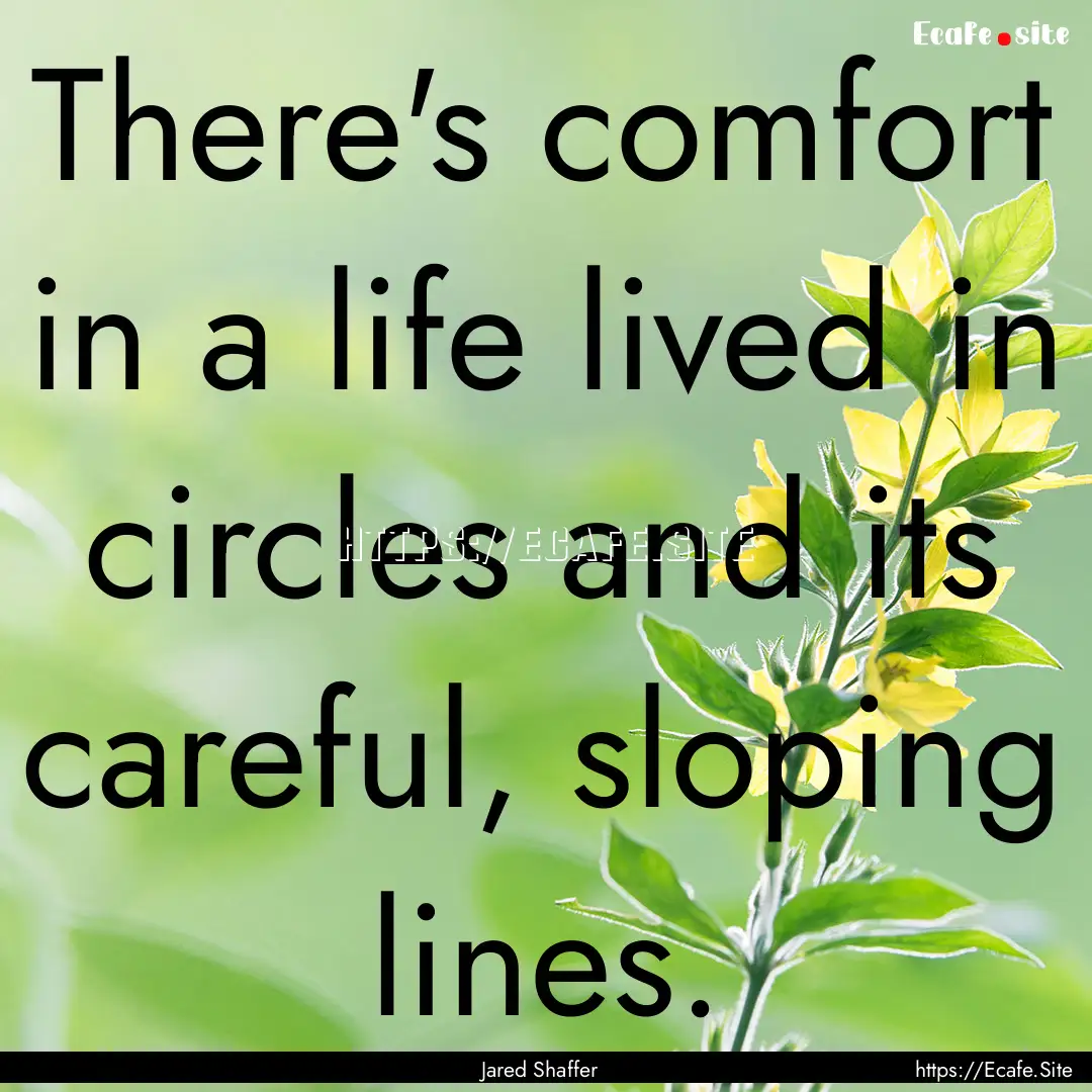 There's comfort in a life lived in circles.... : Quote by Jared Shaffer