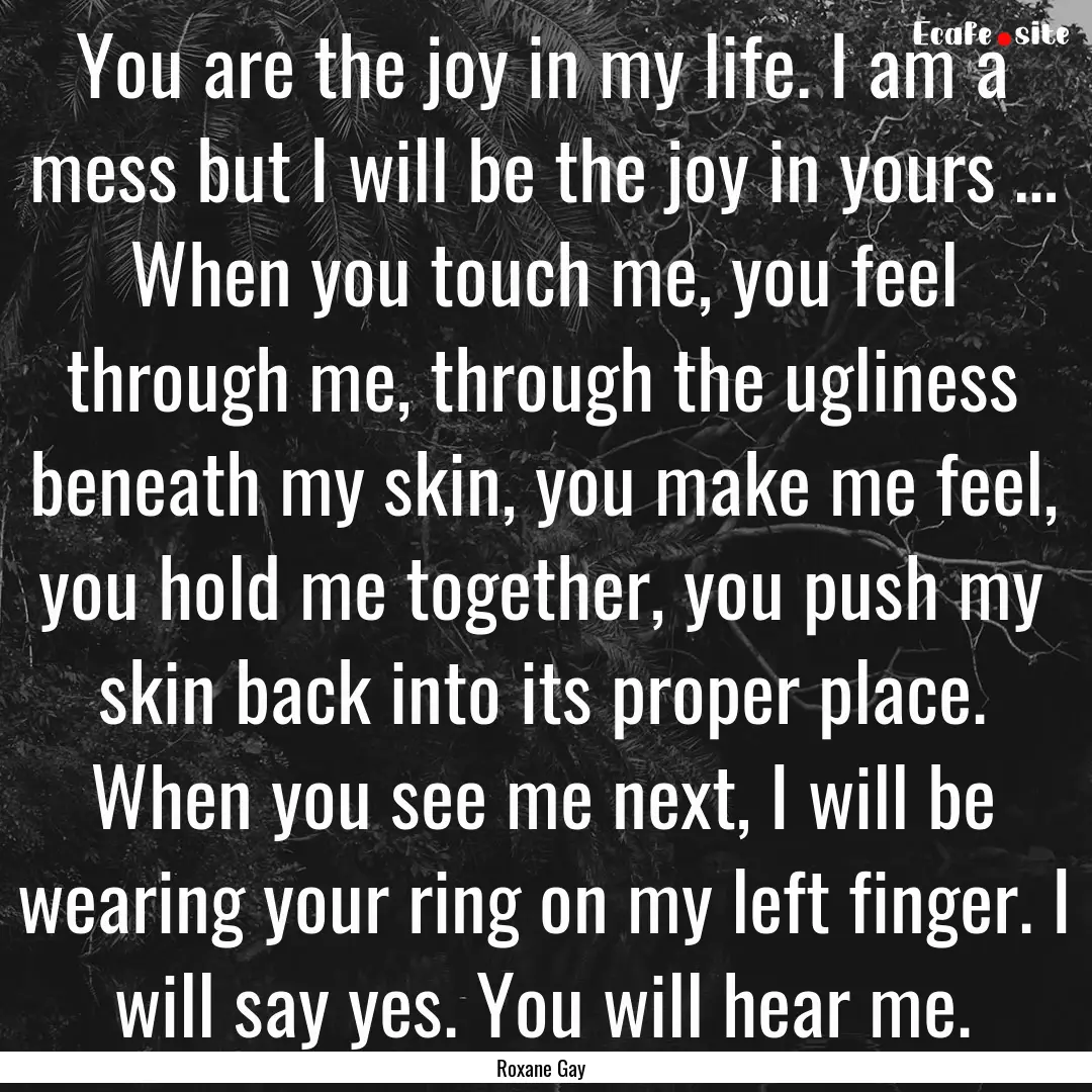 You are the joy in my life. I am a mess but.... : Quote by Roxane Gay