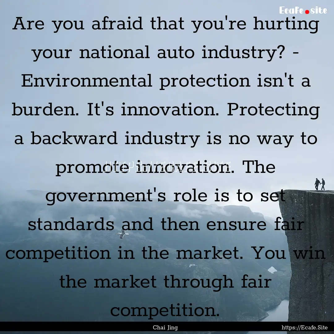 Are you afraid that you're hurting your national.... : Quote by Chai Jing