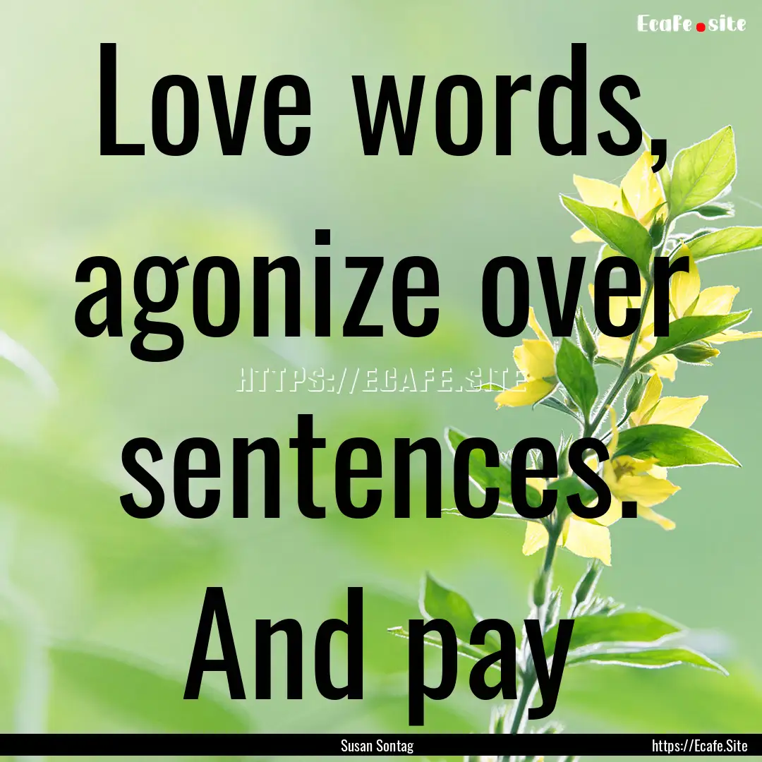 Love words, agonize over sentences. And pay.... : Quote by Susan Sontag