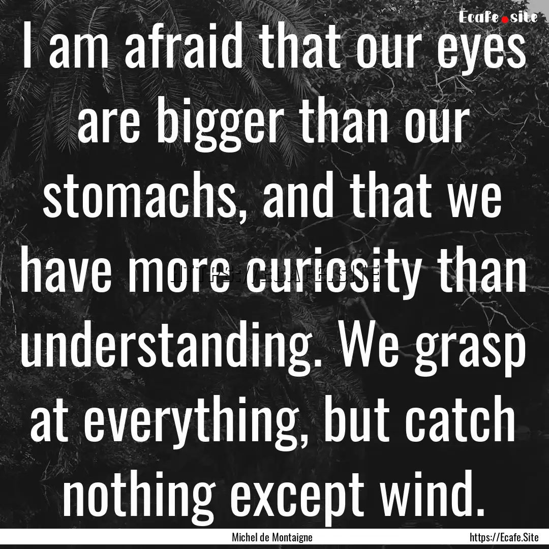 I am afraid that our eyes are bigger than.... : Quote by Michel de Montaigne