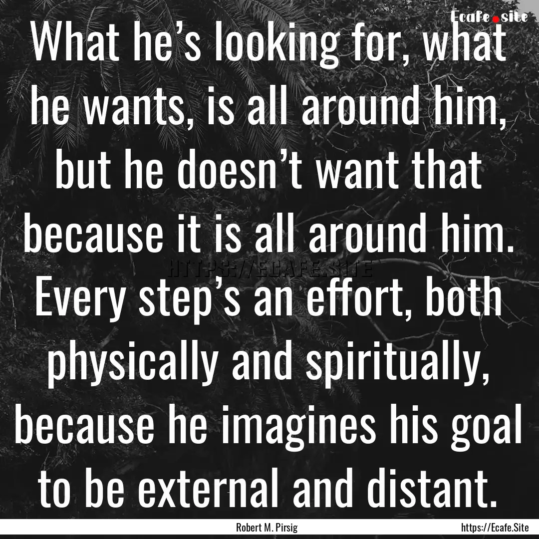 What he’s looking for, what he wants, is.... : Quote by Robert M. Pirsig