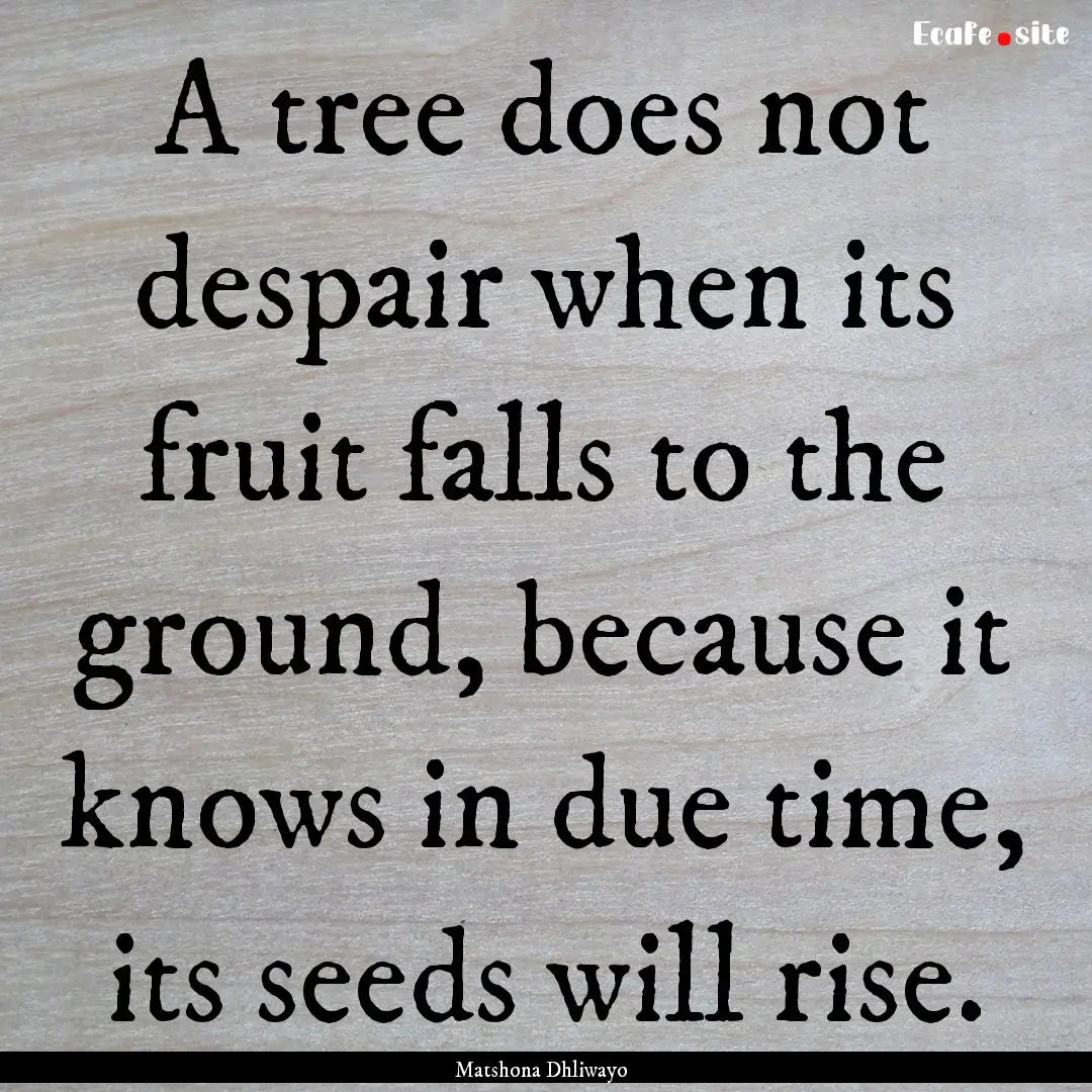 A tree does not despair when its fruit falls.... : Quote by Matshona Dhliwayo