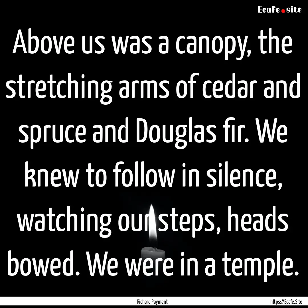 Above us was a canopy, the stretching arms.... : Quote by Richard Payment